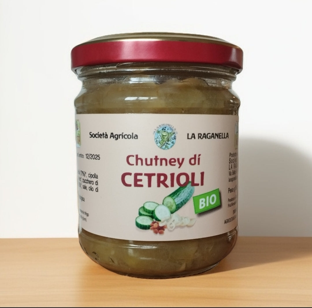 Chutney di cetrioli BIO