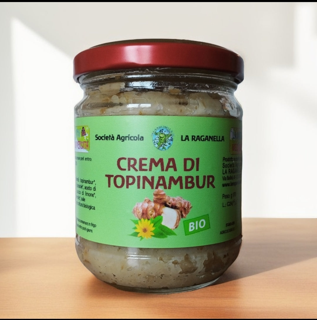 Crema di Topinambur BIO